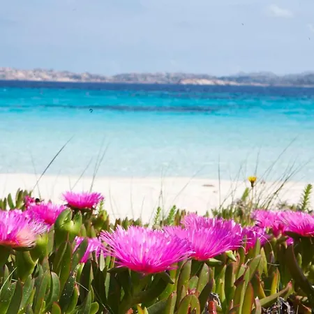 Toro Iii - 4 Guests - 30'porto Cervo * 포르토 포초